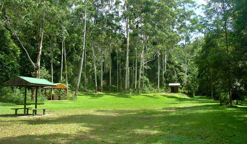 Woolgoolga Creek Picnic Area - 1 Gold Coast 0