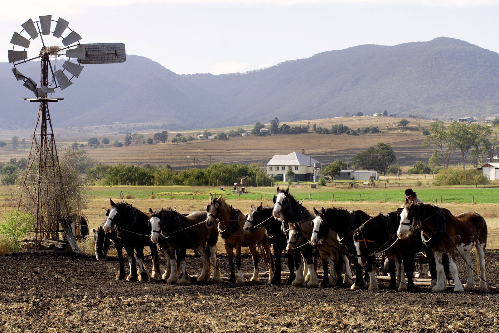Yangan QLD Accommodation Gold Coast