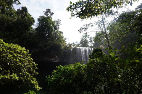 Zillie Falls - Accommodation Gold Coast 1