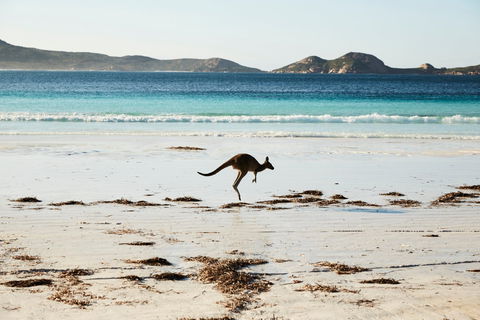 Albany And Esperance - Accommodation Gold Coast 2