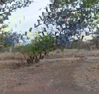 Alexander Forest Memorial - Accommodation Gold Coast