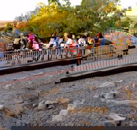 Australian Age of Dinosaurs - Accommodation Gold Coast