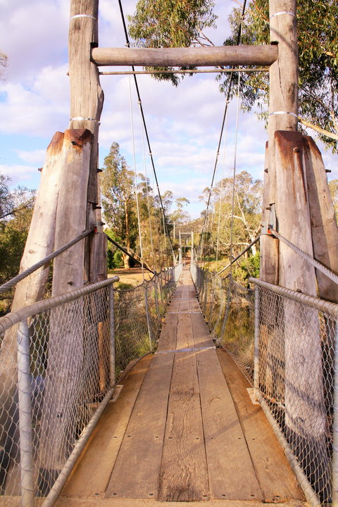 Avon River Walk Trail And Janet Millet Lane - Accommodation Gold Coast 1