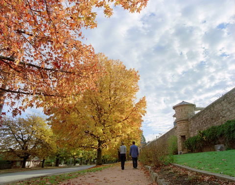 Beechworth - 1 Gold Coast 1