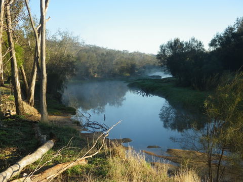 Bilya Walk Track - Accommodation Gold Coast 0