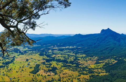 Blackbutt Lookout Picnic Area - 1 Gold Coast 0