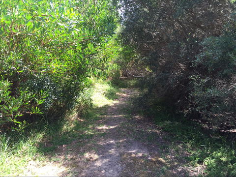 Bluff Track Fitness Trail - Accommodation Gold Coast 2