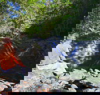 Booloumba Falls Walk Conondale National Park - 1 Gold Coast
