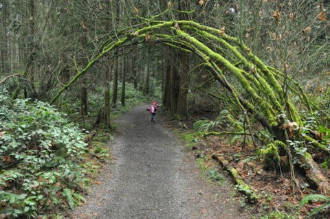 Bridle Trail - 1 Gold Coast 0
