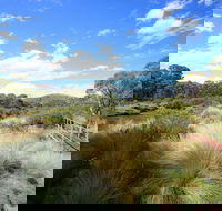 Bullocks walking track - Accommodation Gold Coast