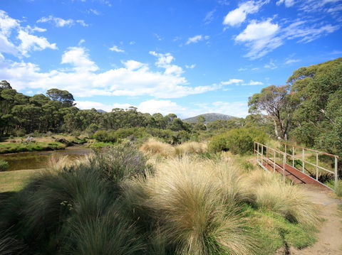 Bullocks Walking Track - Accommodation Gold Coast 0