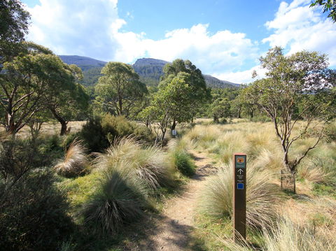 Bullocks Walking Track - Accommodation Gold Coast 2