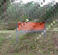 Carter's Mill Picnic and Camping Area - Accommodation Gold Coast