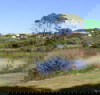 Centennial Park Beachport - Accommodation Gold Coast