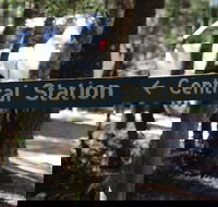 Central Station - Accommodation Gold Coast