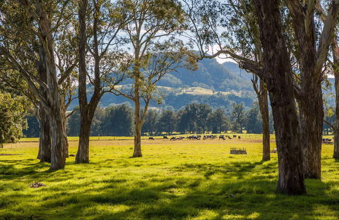 Coast To The Highlands Scenic Drive – Kangaroo Valley - Gold Coast 4U 0