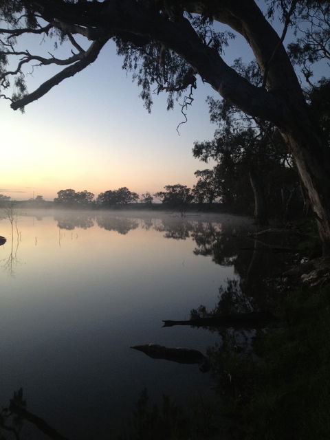 Cockatoo Lake Recreation Reserve - Gold Coast 4U 0