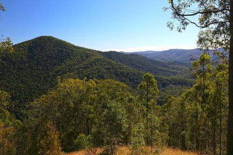 Conondale National Park - 1 Gold Coast 0