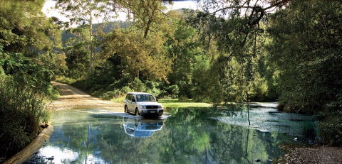 Conondale National Park - 1 Gold Coast 1