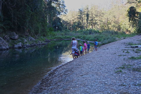 Conondale National Park - 1 Gold Coast 2