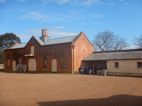 Cooma Cottage - Accommodation Gold Coast 1