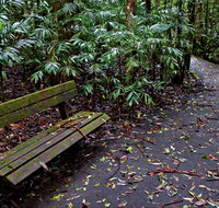 Coombadjha Nature Stroll - Accommodation Gold Coast