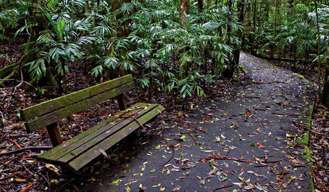 Coombadjha Nature Stroll - 1 Gold Coast 0