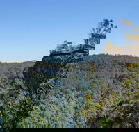 Cooks Nose Walking Track - 1 Gold Coast