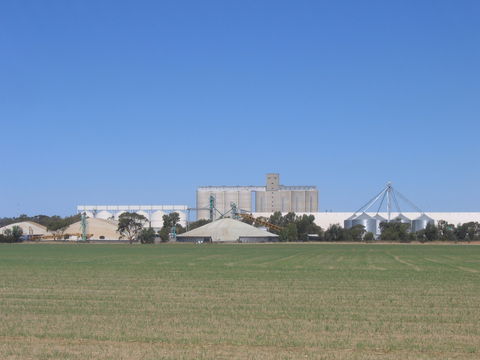 Co-operative Bulk Handling (CBH) Wheat Storage And Transfer Depot - 1 Gold Coast 1