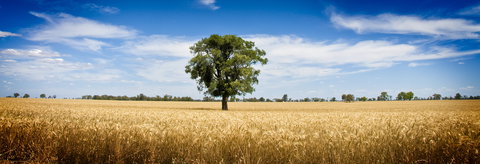 Coonamble - Accommodation Gold Coast 1