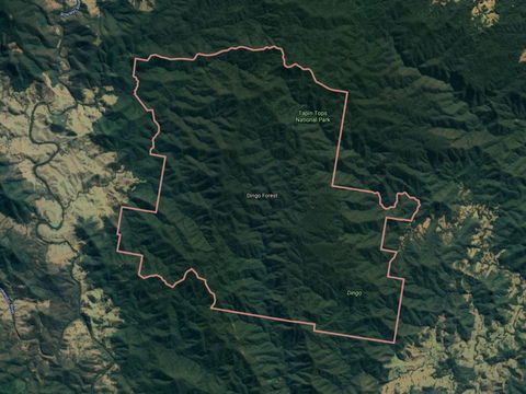 Dingo Forest - Accommodation Gold Coast 0