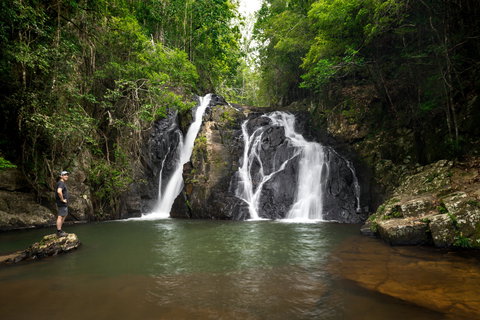 Dinner Falls - 1 Gold Coast 0