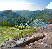 Dubbo Gully Loop Trail - Accommodation Gold Coast