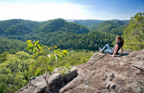 Dubbo Gully Loop Trail - Accommodation Gold Coast 0