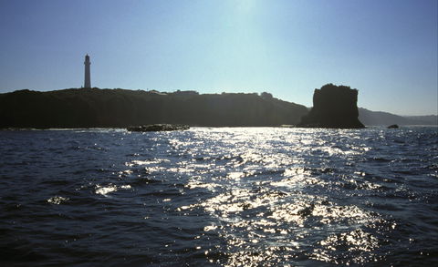 Eagle Rock Marine Sanctuary - Accommodation Gold Coast 2
