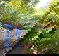Endeavour Fern Gully Walks - Gold Coast 4U