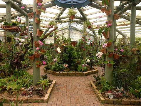 Family Fun In Mackay City - Accommodation Gold Coast 1