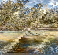 Flea Creek Picnic Area - Accommodation Gold Coast