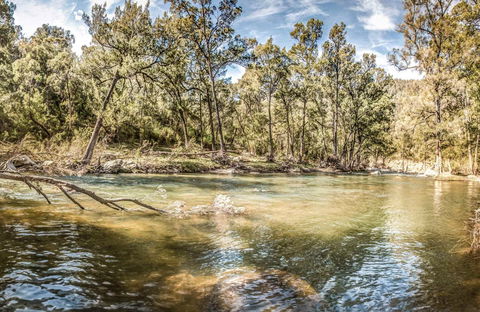 Flea Creek Picnic Area - Accommodation Gold Coast 0