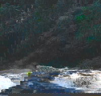 Gardners Falls - 1 Gold Coast