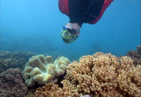 Geoffrey Bay Snorkel Trail - Accommodation Gold Coast 0