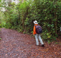 Gibraltar-Washpool World Heritage Walk - Accommodation Gold Coast