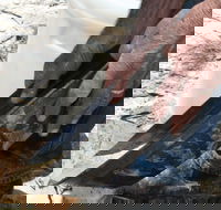 Goldfields at Ironbarks - Accommodation Gold Coast