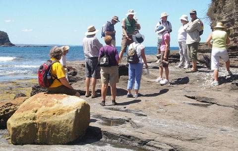 Gondwana Coast Fossil Walk - Accommodation Gold Coast 0