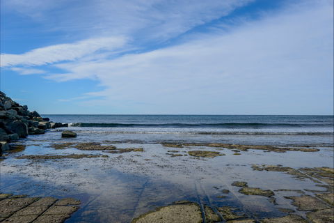 Gondwana Coast Fossil Walk - Accommodation Gold Coast 1