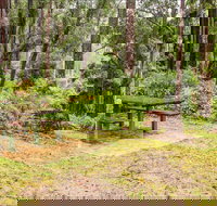 Goodenia Rainforest picnic area - Accommodation Gold Coast