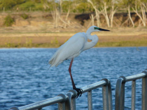 Groper Creek - Accommodation Gold Coast 0