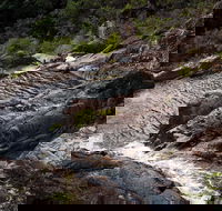 Halls Falls - 1 Gold Coast