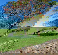 Historic Dry Stone Walls Kiama - 1 Gold Coast