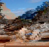 Homestead Gorge trail - Accommodation Gold Coast